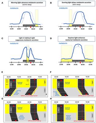 The Lighting Environment, Its Metrology, and Non-visual Responses